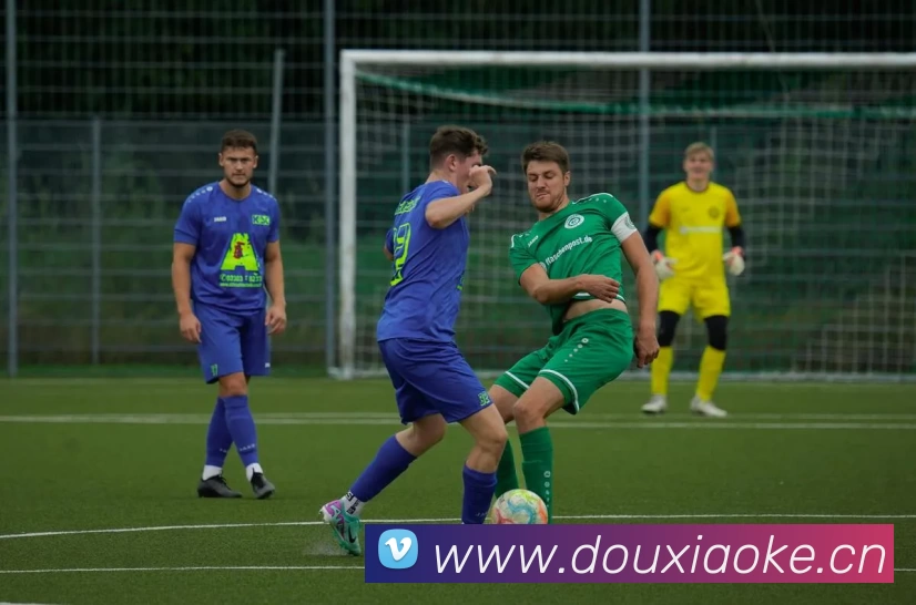 韦德·官方端入口 - 韦德(中国)平台生态图